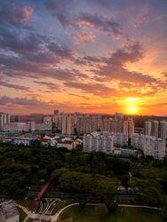 Amo Residence (D20), Apartment #557986491